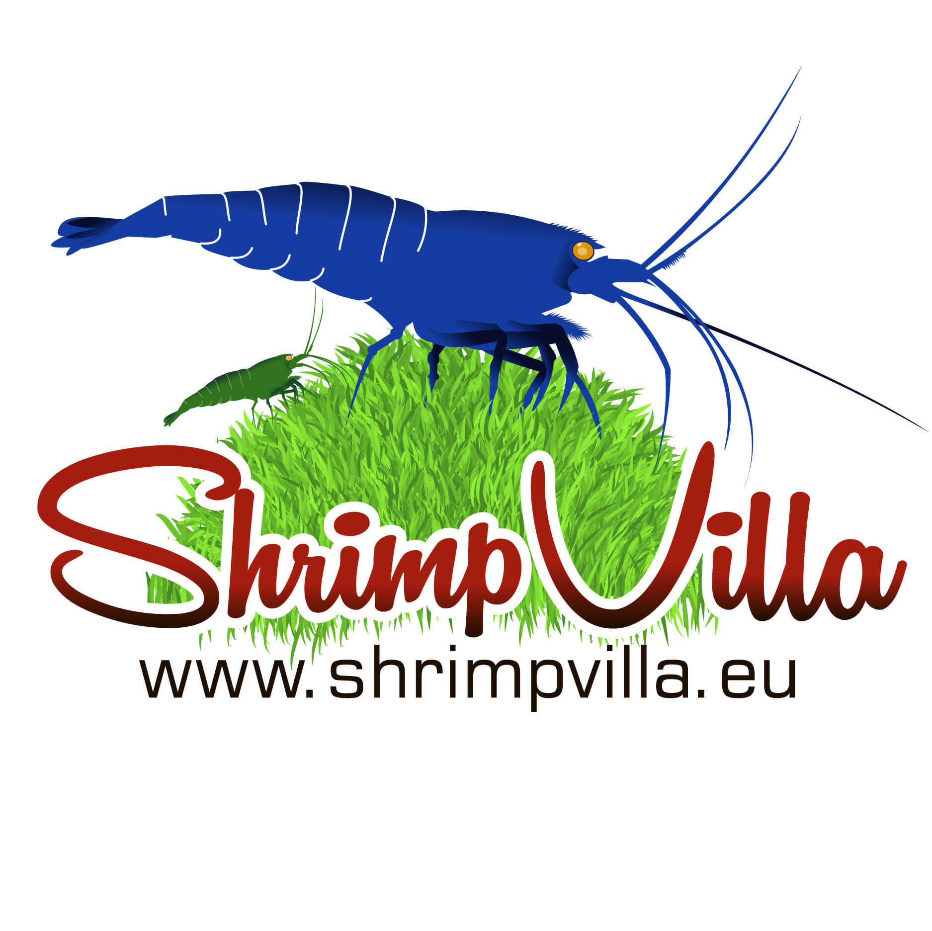 shrimpvilla.eu